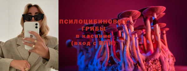 гашик Гусев