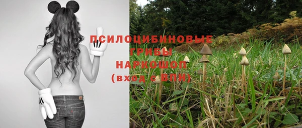 круглые Горно-Алтайск
