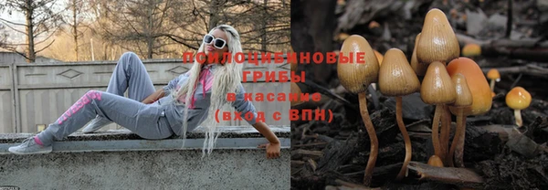 герыч Горняк